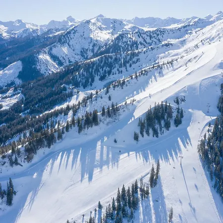 Berghof - Riesneralm 호텔 *