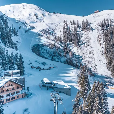 Berghof - Riesneralm Donnersbachwald