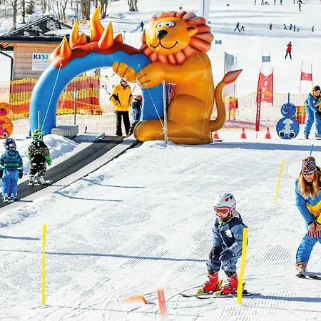 Berghof - Riesneralm 호텔 *