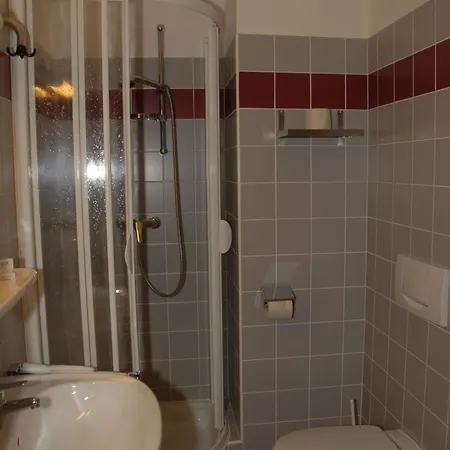 Berghof - Riesneralm Guest house *