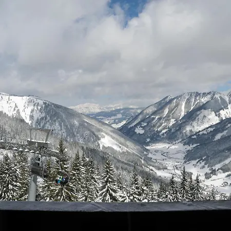 Berghof - Riesneralm *