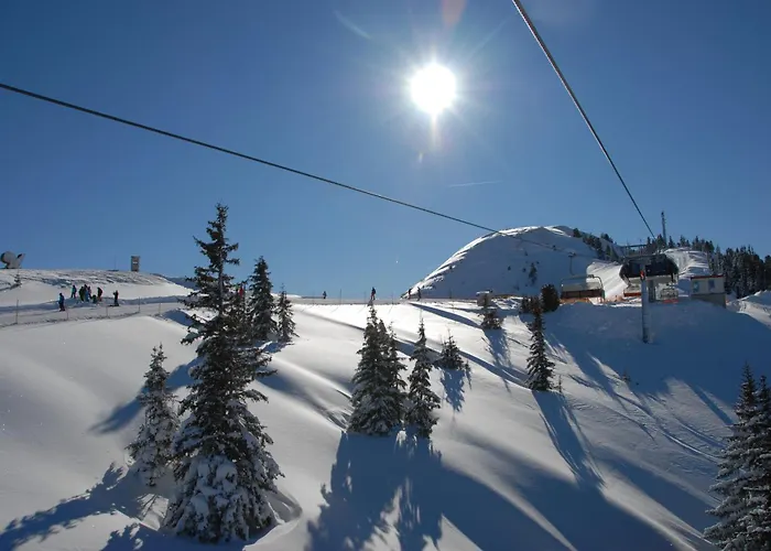 Berghof - Riesneralm Ξενοδοχείο Donnersbachwald