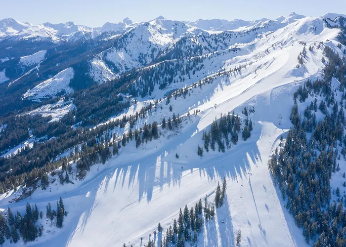 Berghof - Riesneralm Hotel *