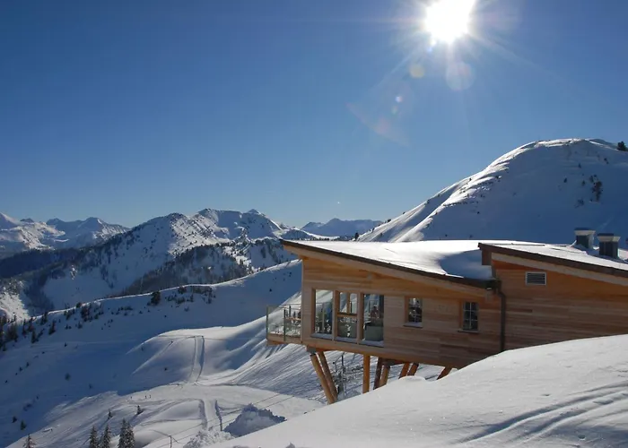 Berghof - Riesneralm Donnersbachwald