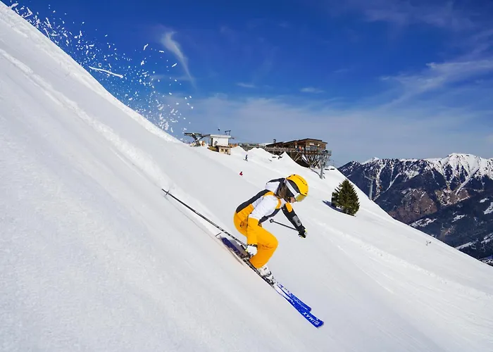 Berghof - Riesneralm * Donnersbachwald