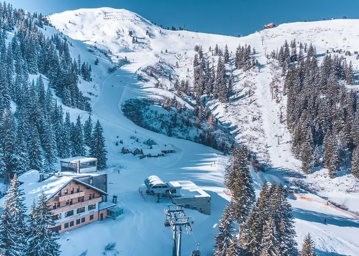 Berghof - Riesneralm Donnersbachwald