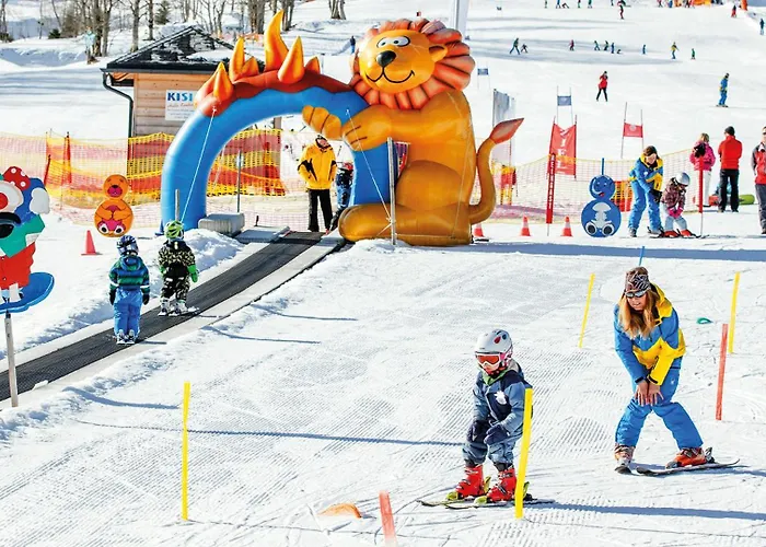 Berghof - Riesneralm Hotel *