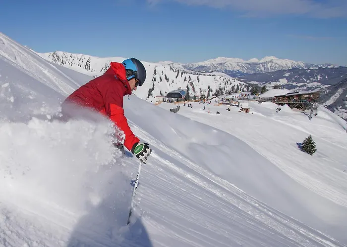 Hotel Berghof - Riesneralm *